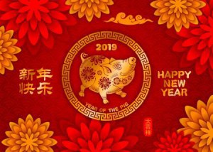 гороскоп на 2019 год по восточному китайскому календарю