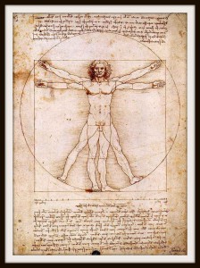 leonardo-da-vinci-anatomy